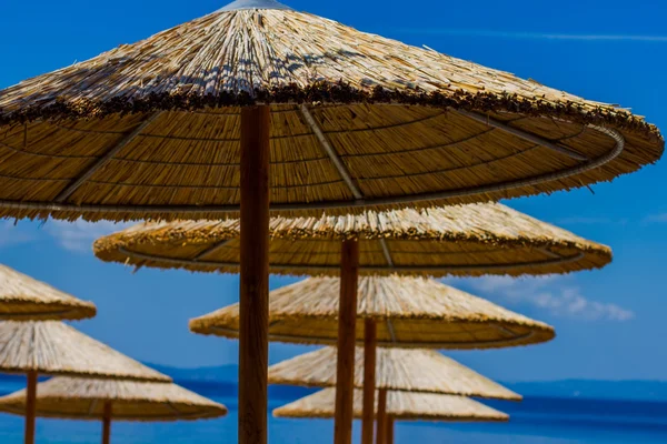 Strohschirme am Strand - Stockfotografie: lizenzfreie Fotos © UltraONE