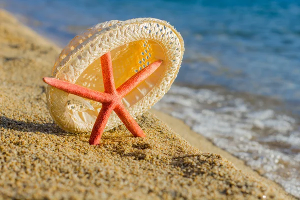 暑假旅行海星 — 图库照片
