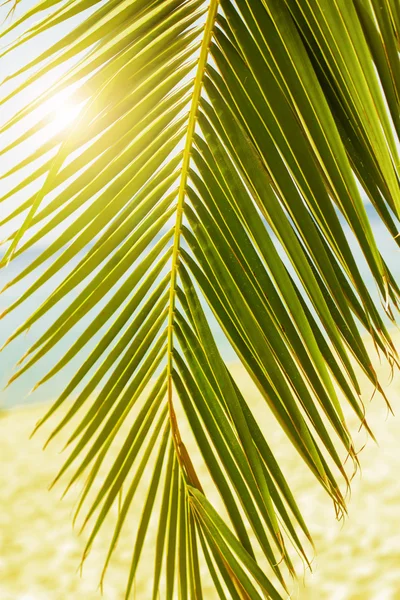 Tropical Beach sommaren resmål — Stockfoto