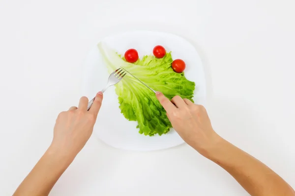 Gesunde Ernährung vegetarische Kost — Stockfoto