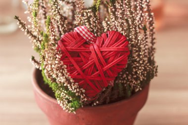 Kırmızı kalpleri severim. 