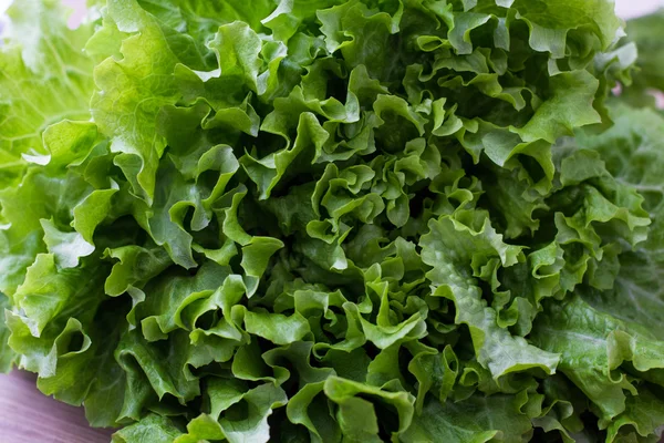 Healthy Vegetable Food — Stock Photo, Image