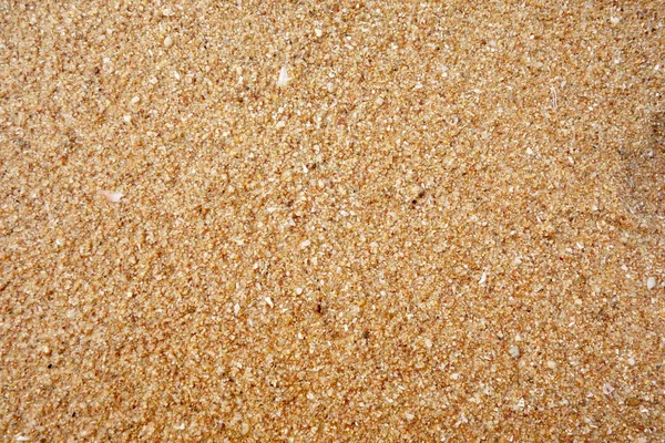 Modèle de sable d'une plage — Photo