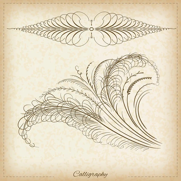 Elementos caligráficos — Archivo Imágenes Vectoriales