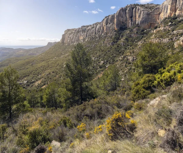 Cliffs Montsant Natural Park Πριοράτ Καταλονία — Φωτογραφία Αρχείου