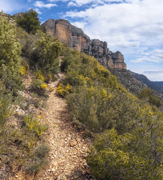 Caminho Trekking Que Conduz Parque Natural Montsant Priorat Catalunha — Fotografia de Stock