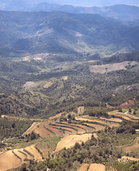 Aerial View Growing Fields Priorat Catalonia — Stock Photo, Image