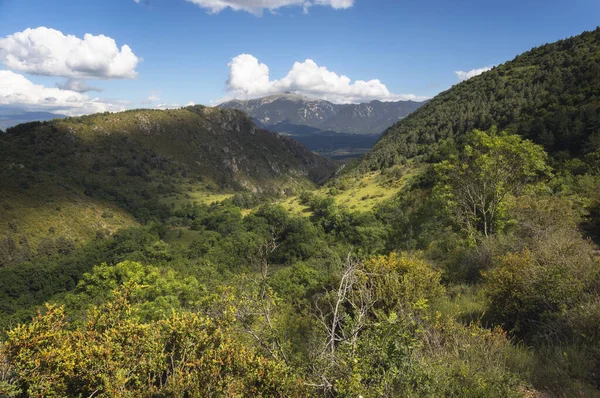 Cadi Range Von Cerdanya Aus Gesehen Katalanische Pyrenäen — Stockfoto