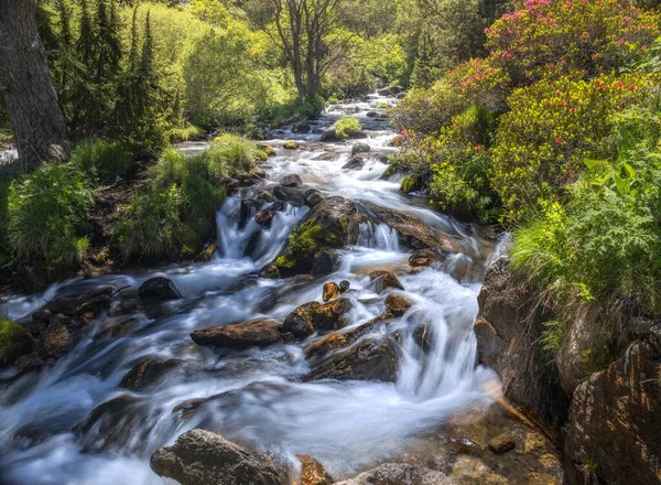 Horská Řeka Krajina Údolí Eyne Francouzské Pyreneje — Stock fotografie