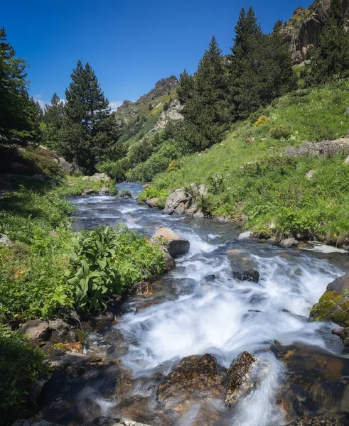 Horská Řeka Krajina Údolí Eyne Francouzské Pyreneje — Stock fotografie