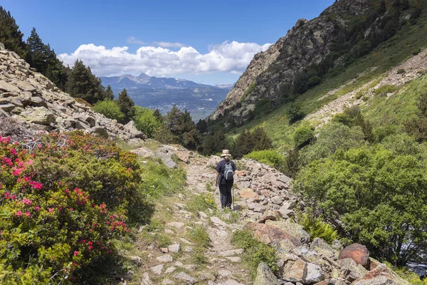 Woman Trekking Eyne Valley Carlit Peak Background French Pyrenees — Fotografia de Stock