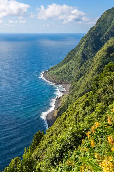 Point de vue Ponta da Sossego à Sao Miguel, Açores île — Photo