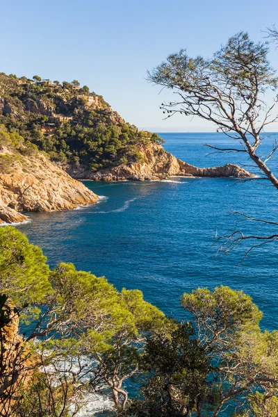Bela costa selvagem típica de Costa Brava, Catalunha — Fotografia de Stock