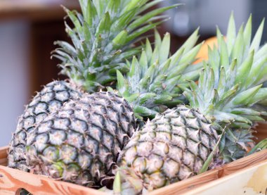 ananas kutusunda