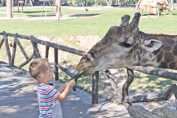 Im Zoo — Stockfoto