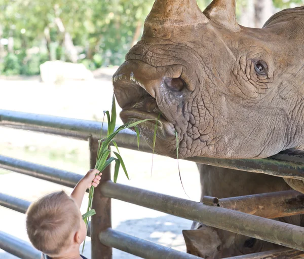 Baby im Zoo — Stockfoto