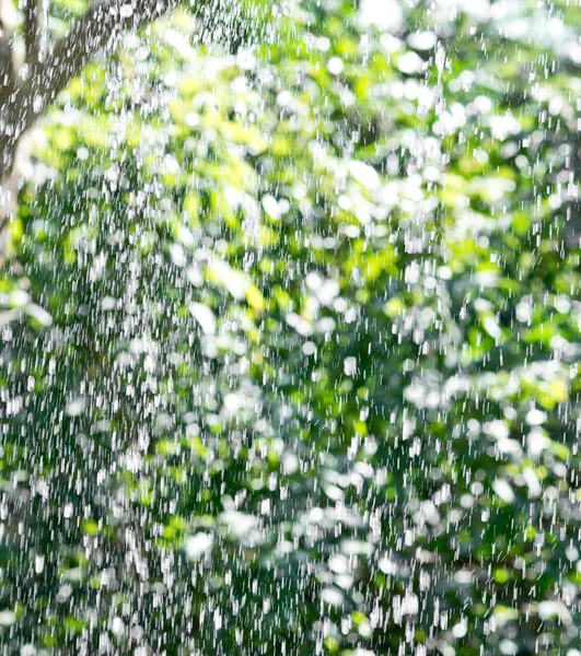 Rain drop background — Stock Photo, Image