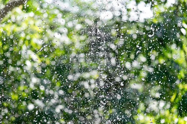 Rain drop background — Stock Photo, Image