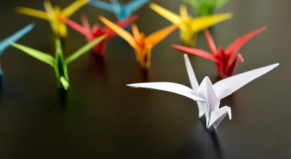 Origami jeřáb ptáci — Stock fotografie