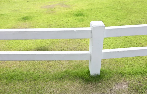 Witte hek en gras — Stockfoto