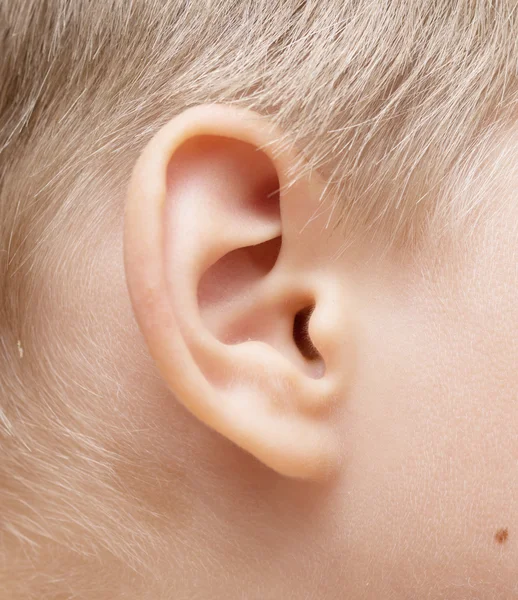 Image of baby ear — Stock Photo, Image