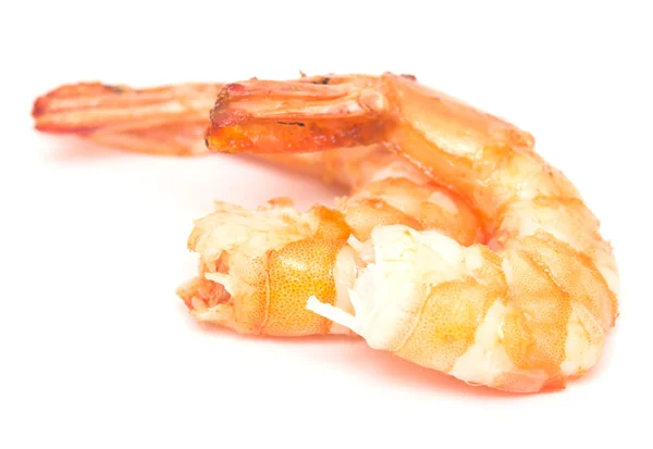 Grilled shrimps on white — Stock Photo, Image
