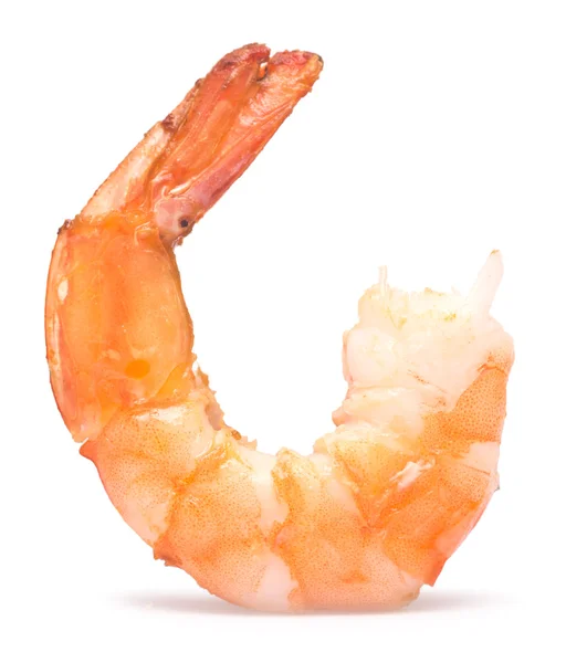Grilled shrimp on white — Stock Photo, Image