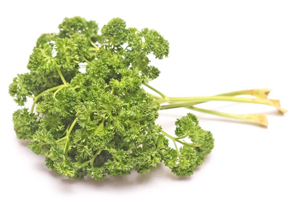 Green fresh parsley — Stock Photo, Image