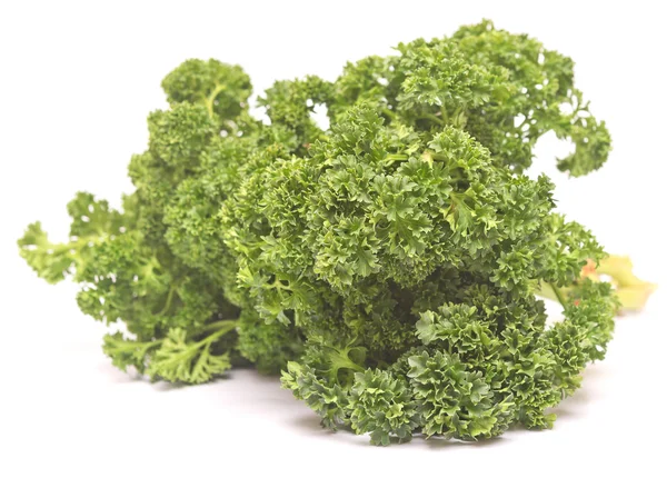 Fresh green parsley — Stock Photo, Image