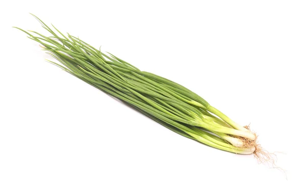 Fresh green onion — Stock Photo, Image