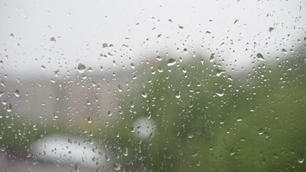 Gotas de chuva em uma janela. — Vídeo de Stock