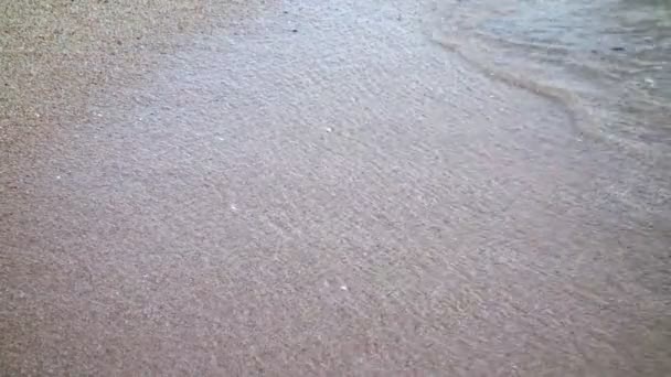 Vague molle de la plage de la mer Séquence Vidéo Libre De Droits