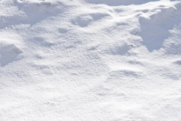 Colina de la nieve con sombras —  Fotos de Stock