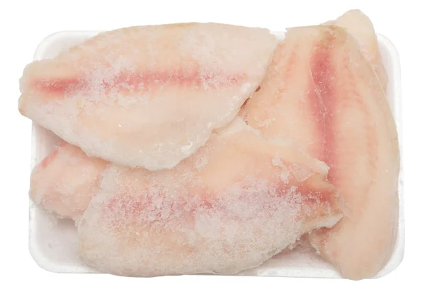 Filet z ryby mrożone — Zdjęcie stockowe