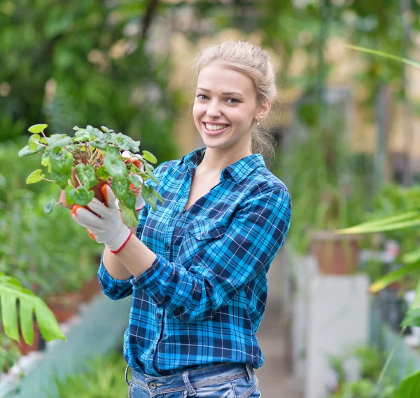 Young woman in greenhouse — Stock Photo, Image