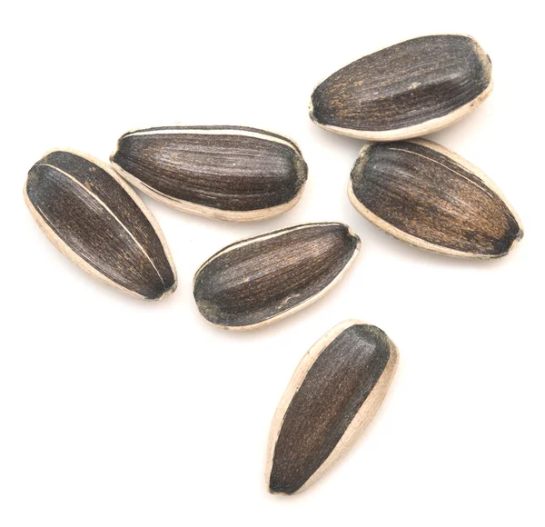 Raw sunflower seeds — Stock Photo, Image