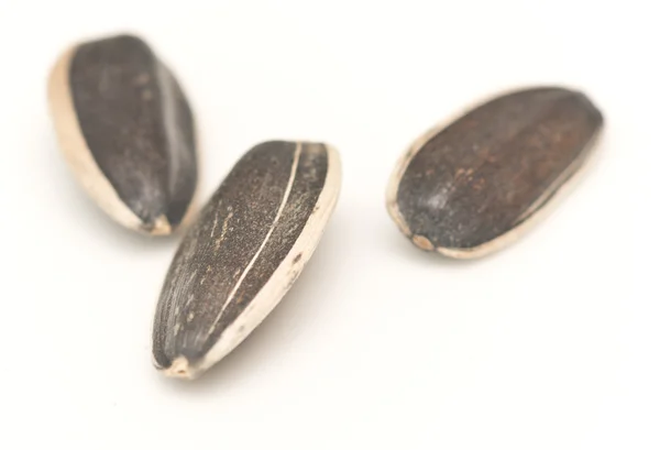 Raw sunflower seeds — Stock Photo, Image