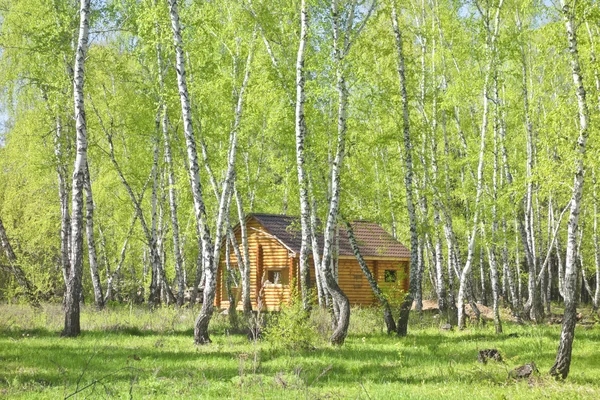 Haus im Wald — Stockfoto