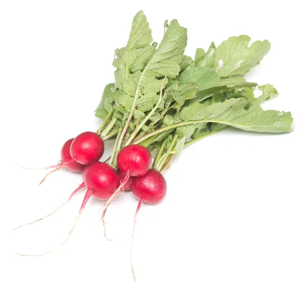 Radish on white — Stock Photo, Image