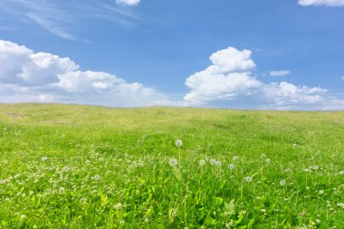 gökyüzü yaz manzara