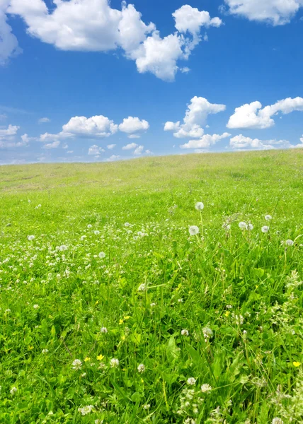 Himmel-Sommerlandschaft — Stockfoto