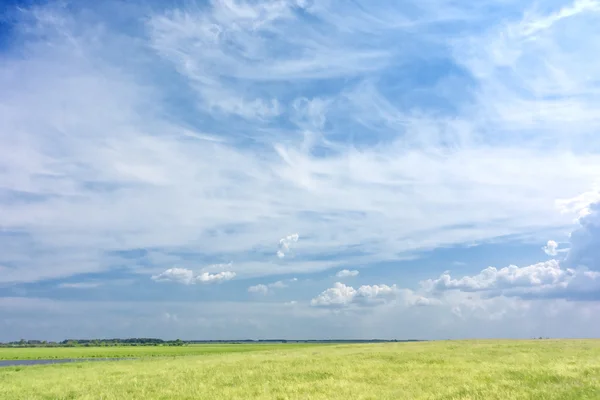 グリーン フィールドの背景 — ストック写真