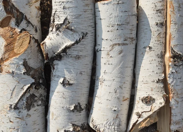 Pile de bois de chauffage — Photo