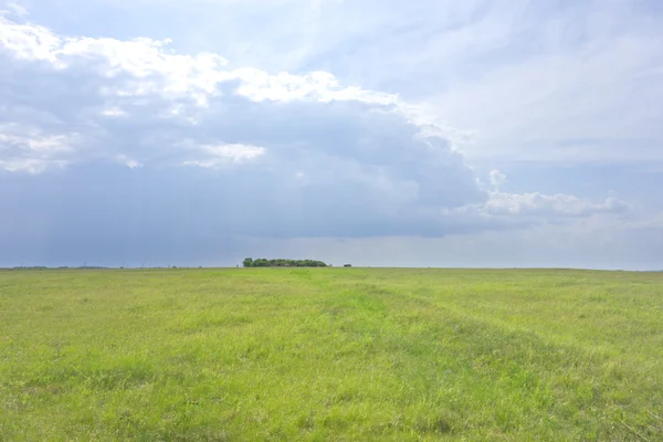 Krajina zeleného pole — Stock fotografie