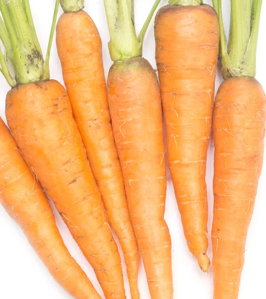 Cumulo di carote — Foto Stock