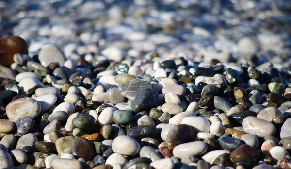 Pebble praia fundo — Fotografia de Stock
