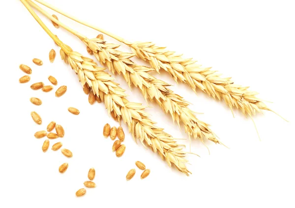 Wheat on white — Stock Photo, Image