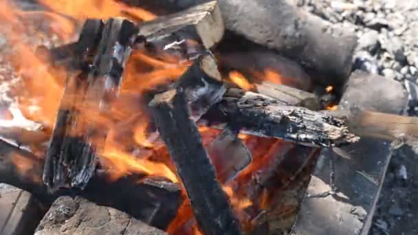 Gros plan du feu de joie Vidéo De Stock