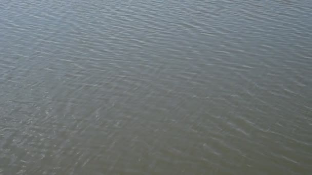 Água azul superfície do mar Vídeos De Bancos De Imagens Sem Royalties