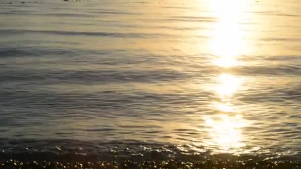Vague de la mer au lever du soleil Clip Vidéo